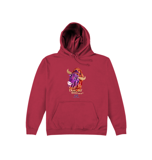 Brick Red Printed Hoody Front